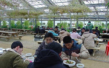 장애우와 함께하는 청소년봉사활동 세계꽃식물원관람(서산장애인복지관)