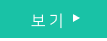 보기 버튼